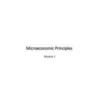 Introduction to Economics 1,2 Microeconomics-BHUM103L